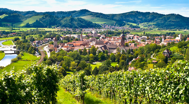 Gengenbach Kultur- und Tourismus GmbH | Gengenbach-Panorama (Ausschnitt), Foto © D. Wissing